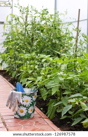 Water bucket and garden instruments in greenhouse