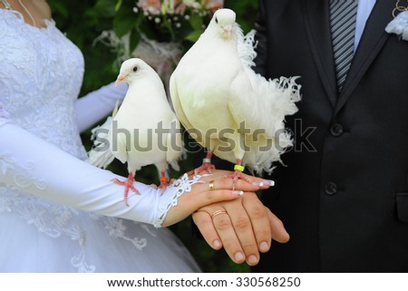 weddings birds