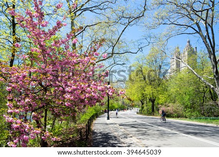 spring landscape in the Central park, New York, USA
