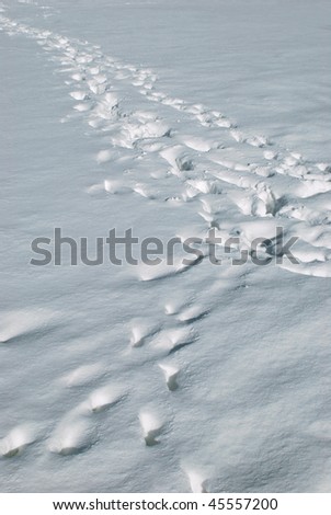 Footsteps in snow