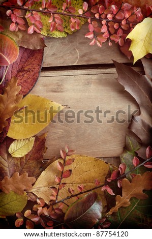 Autumn Border of Color Leaves on Wooden Background
