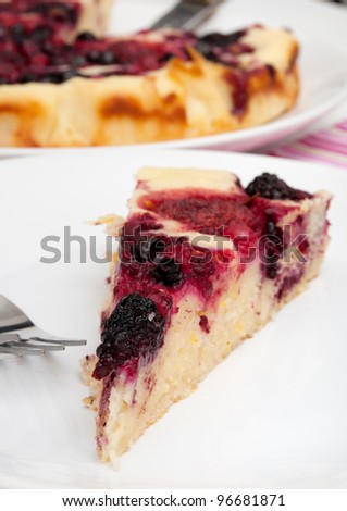 Homemade Cake With Forest Fruit - Shallow Depth of Field