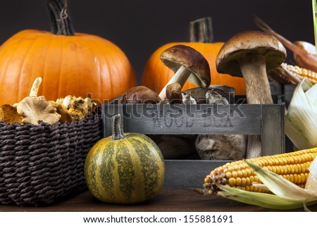 Fresh mushrooms, corn and pumpkin. fall food on wooden table