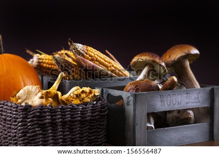 Fresh mushrooms, corn and pumpkin. fall food on wooden table