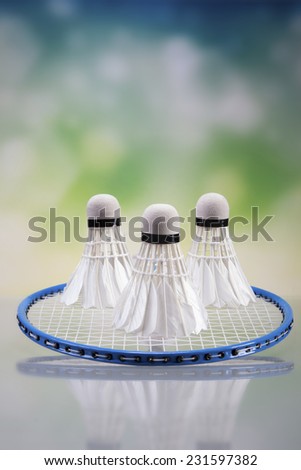A set of badminton. Paddle and the shuttlecock. Studio shot