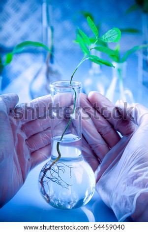 Scientist holding samples of new super grow plants