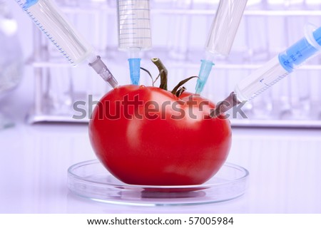 Experiments with fruits in laboratory in blue light