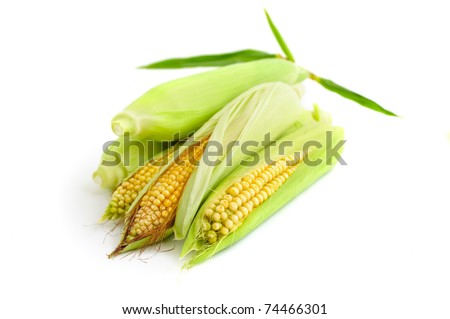 crops background