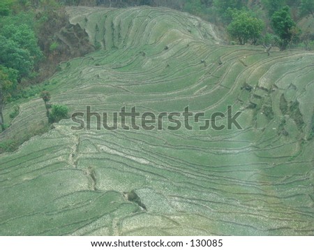 View of terrain from the top.  Hillside at Nepal.