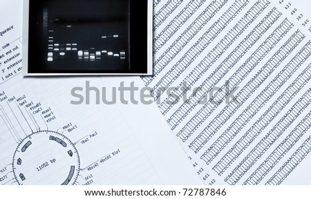 DNA sequence, electrophoresis photo and a restriction map