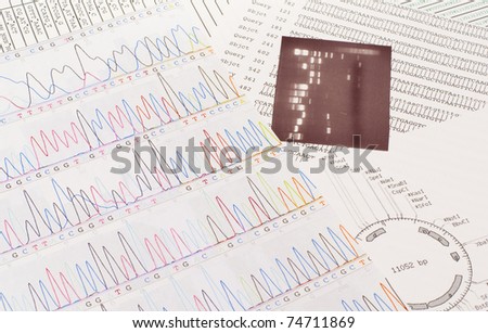DNA sequence, electrophoresis photo, and a restriction map
