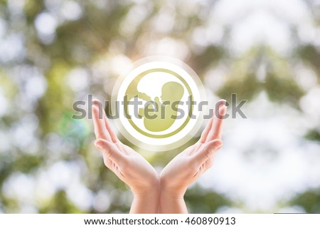 The woman\'s hands support the human embryo icon on blurred background tree.