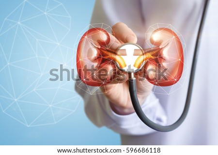 The doctor listens and checks the kidneys on a blue background.