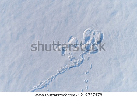 Snow angel\'s print on a snowcovered area. Aerial foto.