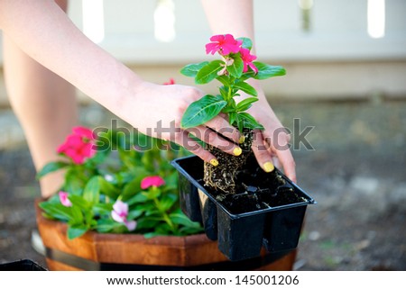 Woman grabs red flower out of black package