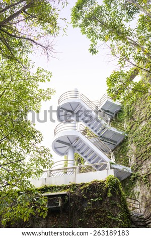 Modern Winding Staircases on Vine Covered Exterior Walls of Buil