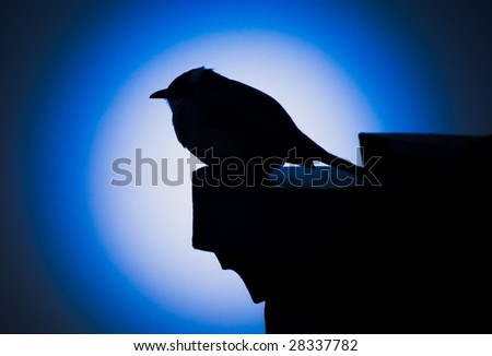 Bird silhouette in the roof under moonlight