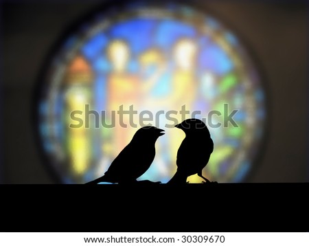 admonish, sparrow small talk in front of the church colorful window