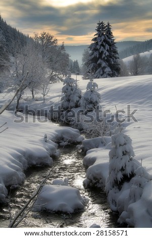 Winter in the Black Forest in Germany