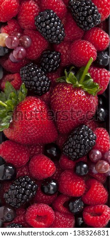 Collection of wild berries and strawberry