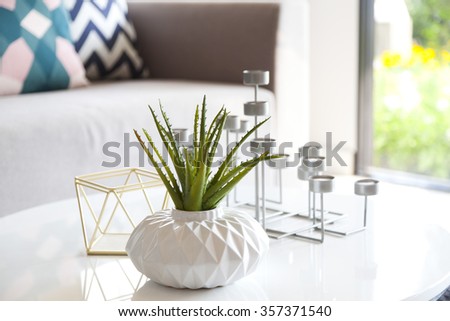 green plant in a vase and candle stand in living room