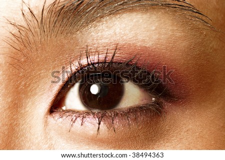 close up shot of  a beautiful lady\'s eye