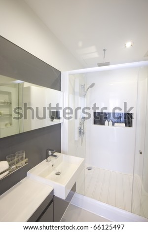 Interior Shot of a  Bathroom with sink and shower