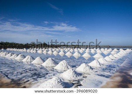 Sea salt field in Thailand