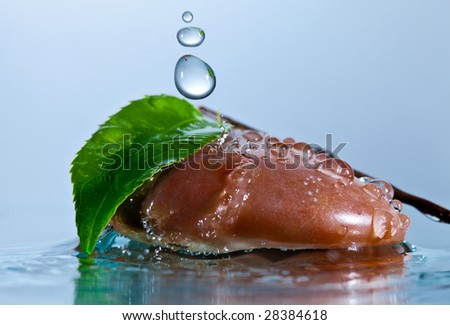 Stone, leaf and drops of water