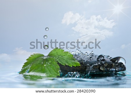 Stone, leaf, sky and drops of water