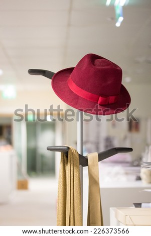 A hat is placed on a coat rack in a company