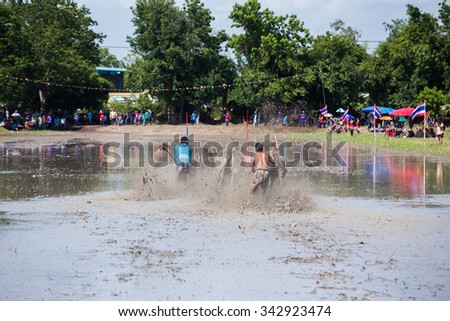 CHONBURI,THAILAND-JUN 28 : Water buffalo racing festival,has always played an important role in agriculture in Thailand. on June 28,2015 Chonburi Province, it is an important annual festival.