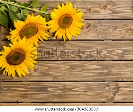 Three sunflowers are on the wooden background. These flowers are represented at left top corner. The space may be used for your ideas.