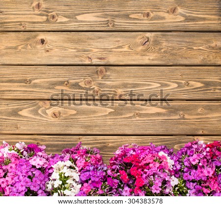 Fresh colorful lilac flowers in pots on wooden background. Flowers on wood texture background with copyspace.