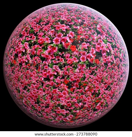 red flowers on the sphere of the earth