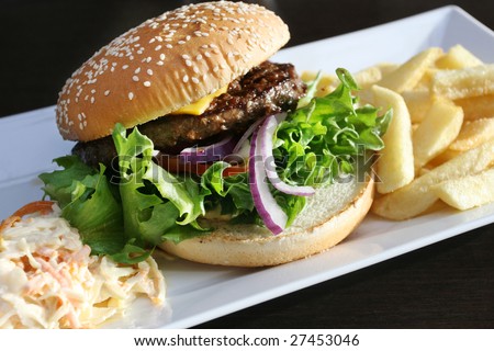 Hamburger with fries and cole slaw