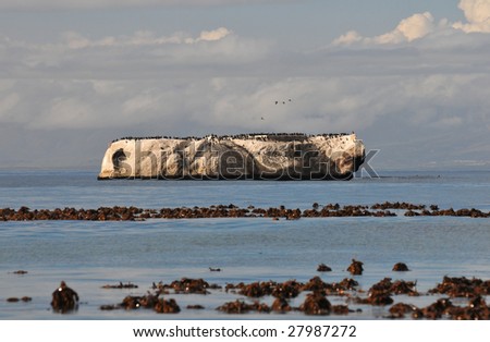 Noahs Ark rock in False Bay