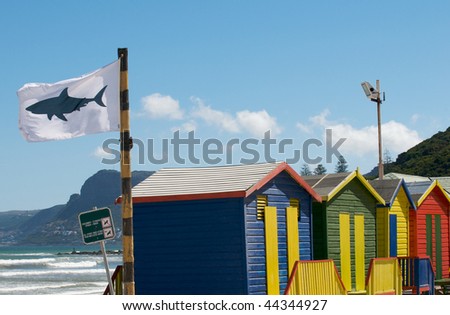 Muizenberg Shark