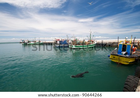 Kalk Bay fishing boats