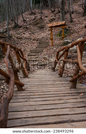 Wooden stairs cover a forest path