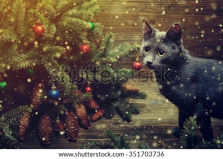 Christmas cat. Kitten playing at Christmas tree. Magic snowfall effect. Wooden background. Copy space. Close up. Toned.