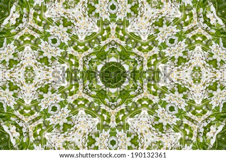 White and Green Background