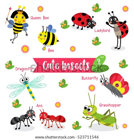 Cute Insects Animal cartoon on white background with animal name. Set 2.