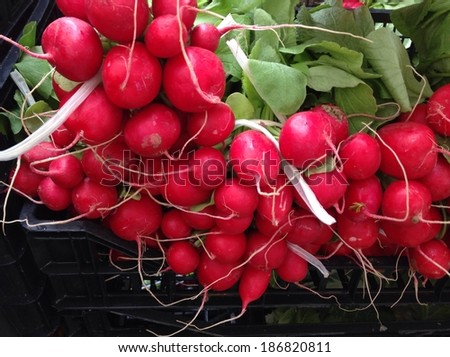 fresh cut radish at the market