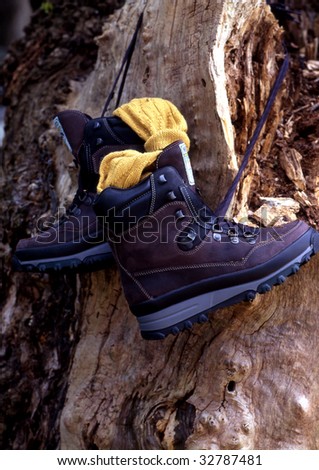 boots hanging to the bark of a tree