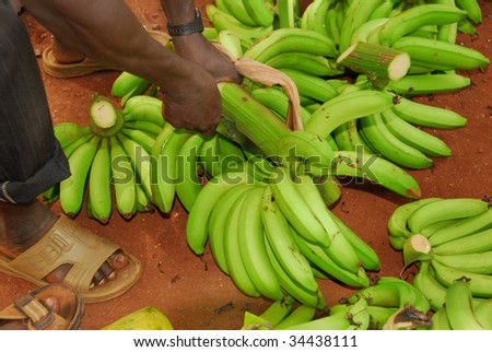 Cutting Banana