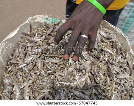 african hands of a fisherman