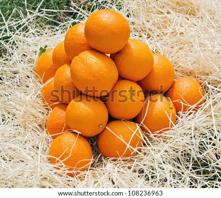 pyramid of oranges on the background of the hay