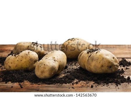 raw potatoes on the ground on a white background