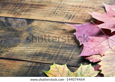 colored autumn leaves on a wooden table. Focus on the middle the leaves of the maple.